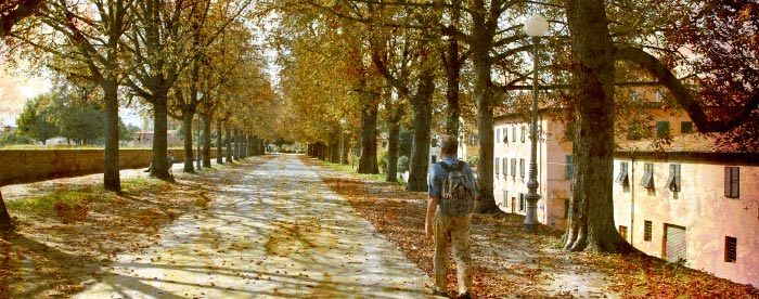 Walking In Tuscany