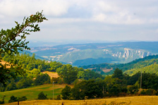 Hilltop View